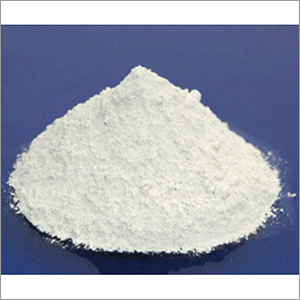 Bifidobacterium Longum