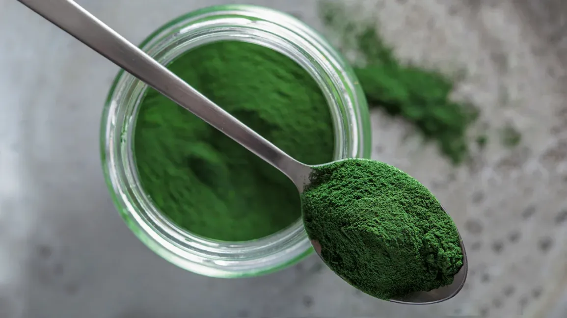 Chlorella