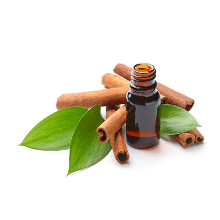 Cinnamon Bark Oil