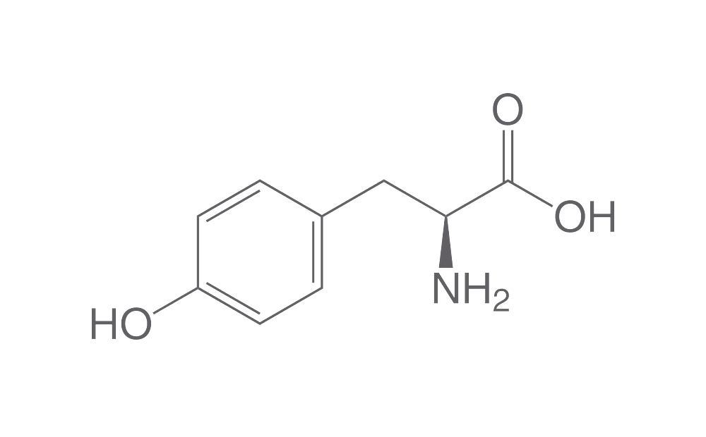 L-Tyrosine