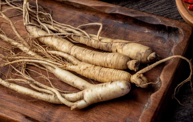 Panax Ginseng