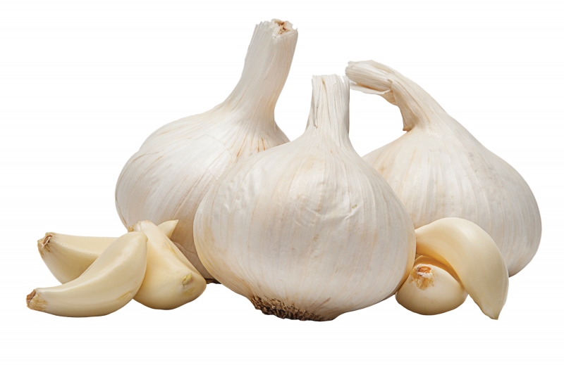 Garlic Extract