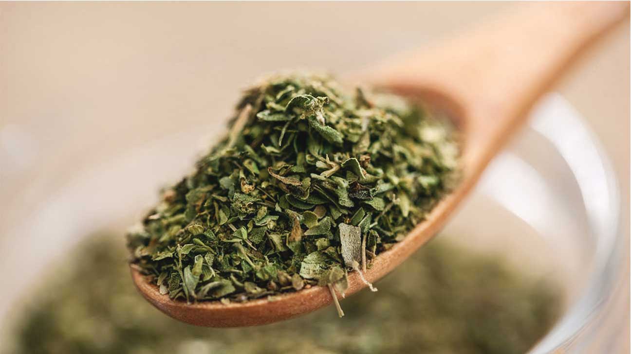Oregano Leaf Extract