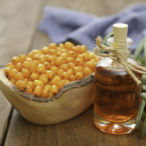 Sea Buckthorn